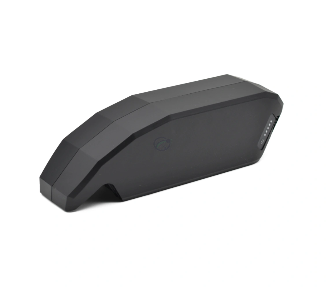 Batterie Bosch PowerPack 540 Performance Active par E-Bike Vision